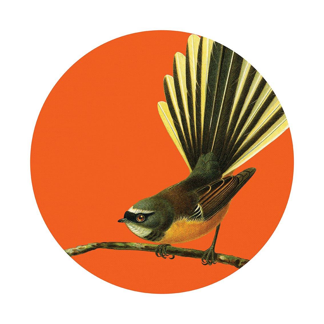 Art Spot Medium Fantail Homeware - Living Room