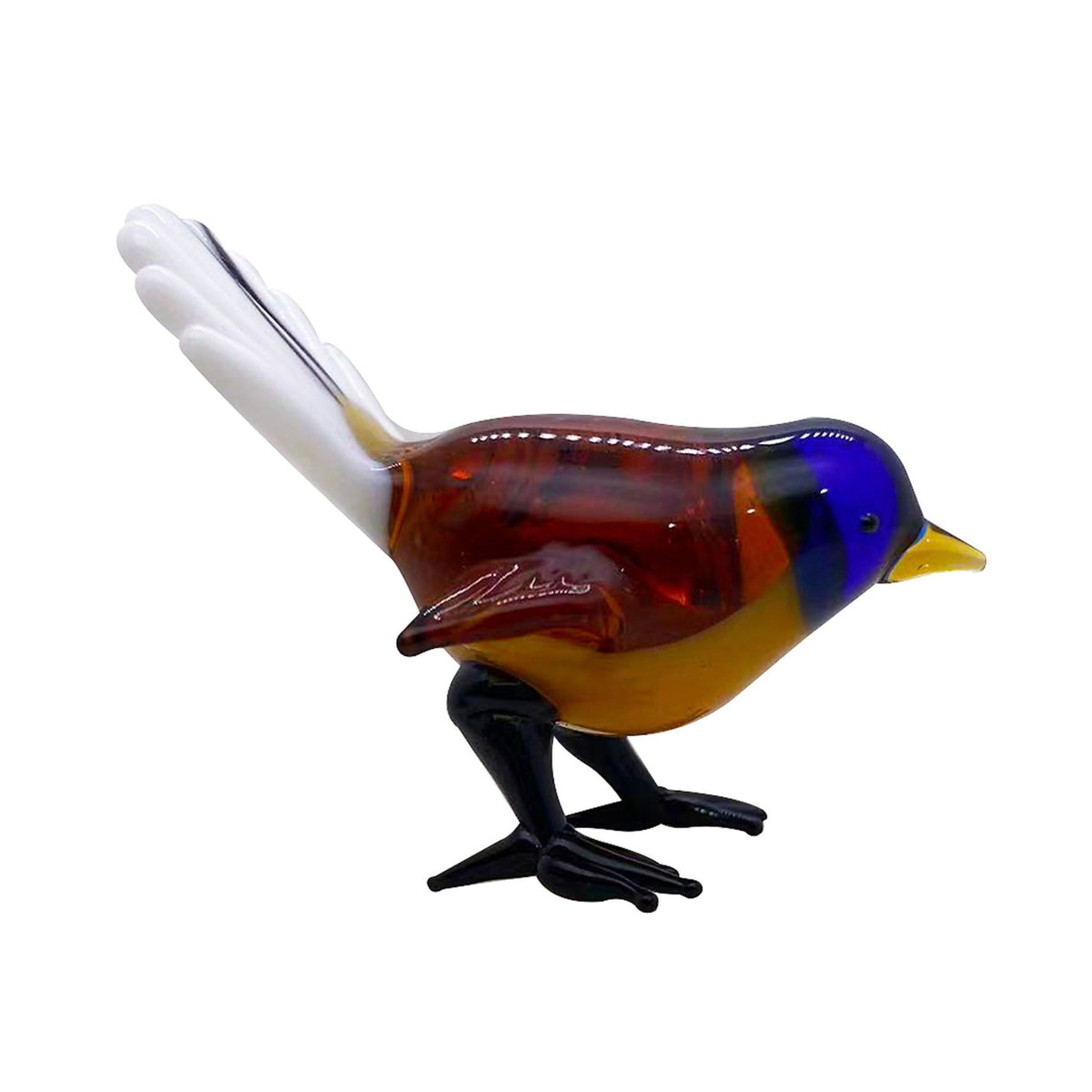 Glass fantail on a white background