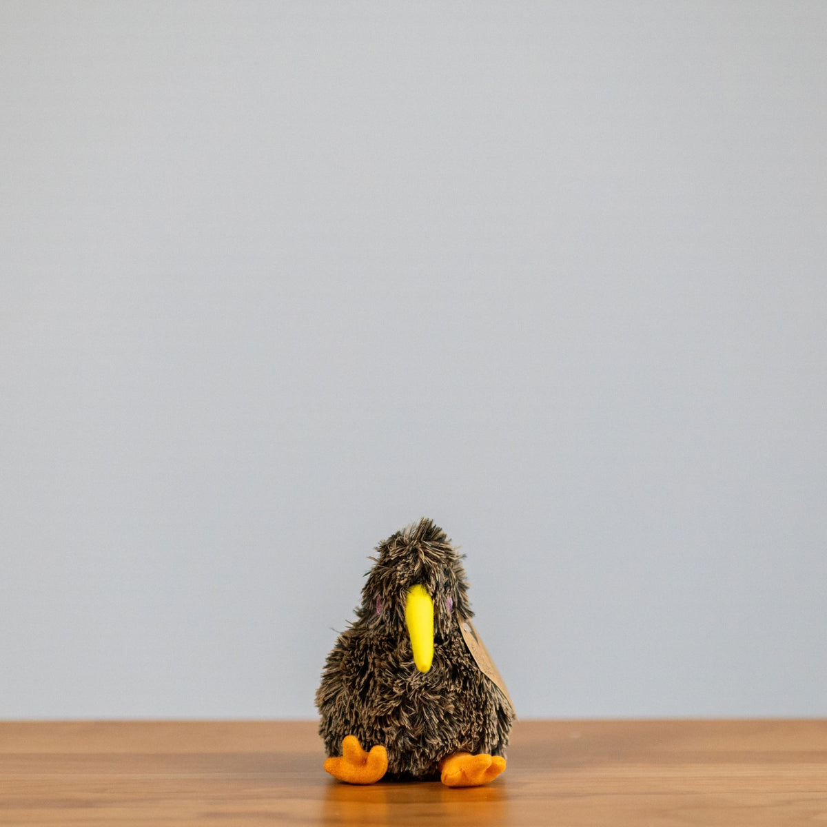 Kiwi soft toy small