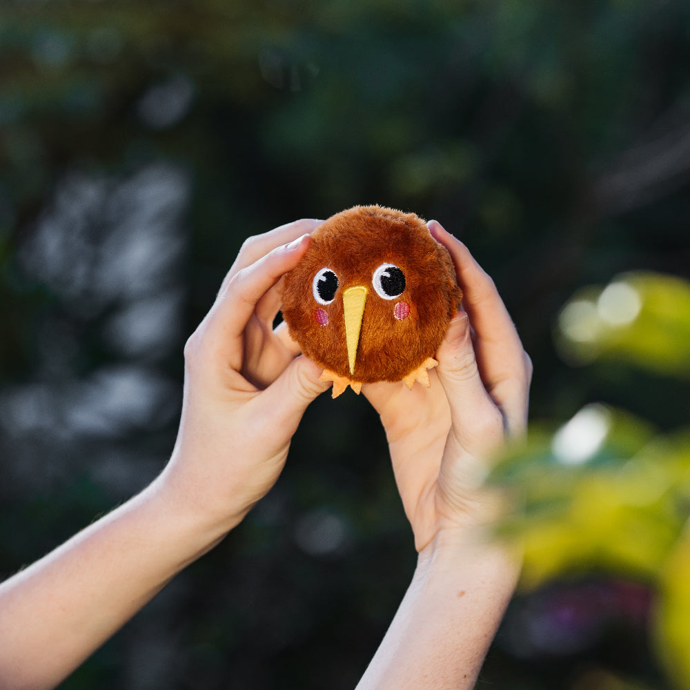 Person holding a small brown kiwi bouncy plush toy with a blurred natural background