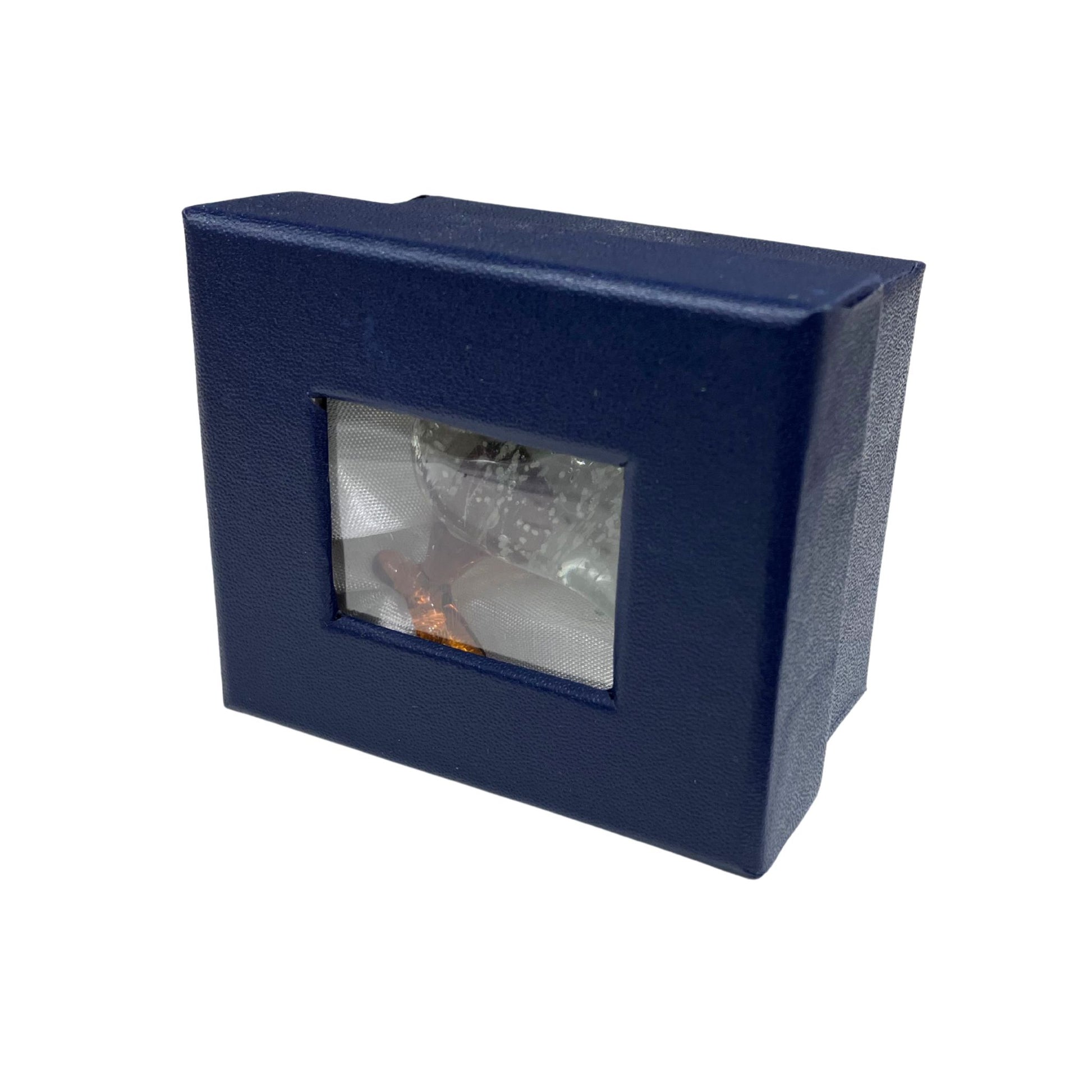 Glass Kiwi Glow in the Dark. Navy blue rectangular light fixture with a clear cover on a white background